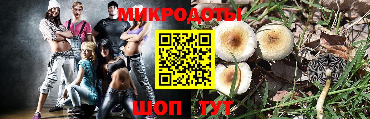 купить  цена  Псилоцибиновые грибы прущие грибы  Вход с VPN  Нерюнгри 